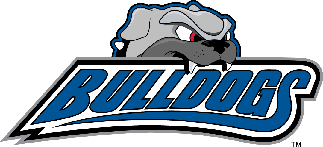North Carolina Asheville Bulldogs 1998-Pres Alternate Logo v2 diy iron on heat transfer